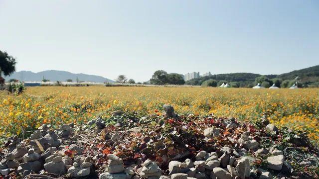 AHU 50D 작례 16pic