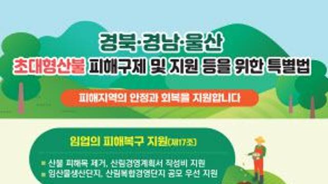 산불로 삶의 터전 잃은 주민들, 국가가 보듬는다