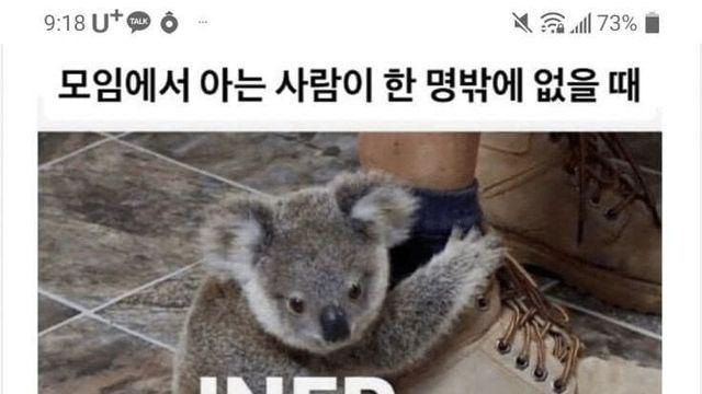 아스퍼거같다는 씹프피 밈..jpg