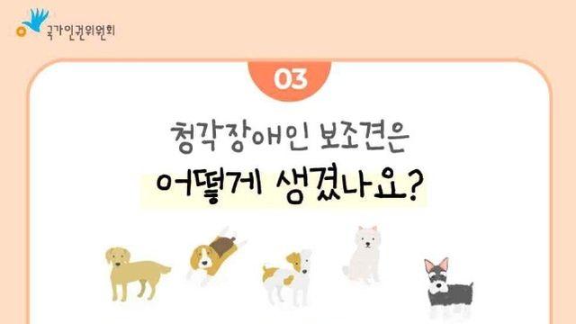 청각장애인 보조견 식당 출입 막으면 불법입니다