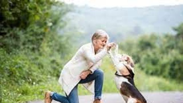 반려견 키우는 보람.