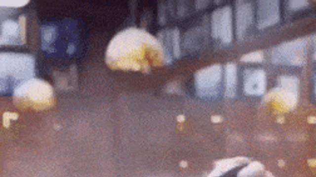 컷하기 전에 물 뿌림 주의.