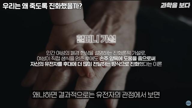항노화와 역노화에 대한 모든 것 (스압)