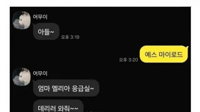 응급실에 실려간 형.jpg,,