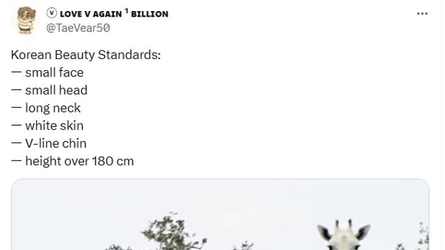 한국 미의 기준이라고 좋아요 200만개 받은 해외 트윗...jpg