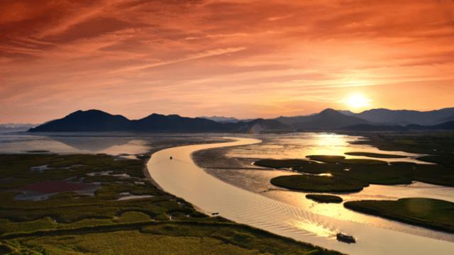 순천만국가정원과 순천만습지, 가을빛 물든 자연의 조화가 빚은 생태 여행