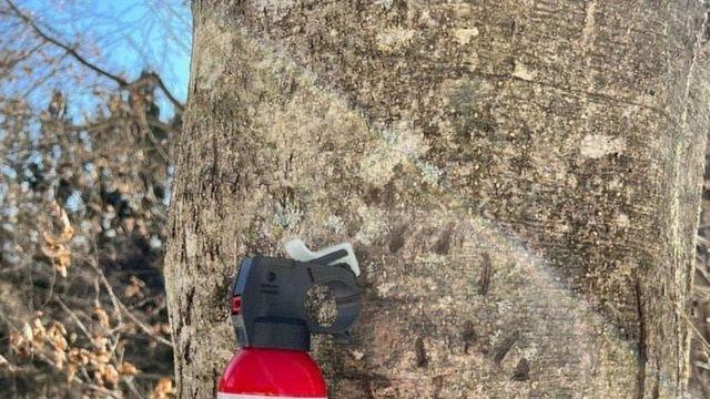 일본에서 유행중인 '곰 스프레이