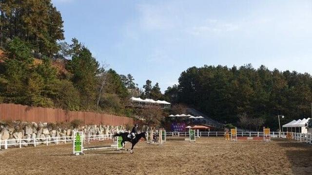 양평군, 제3회 양평군수배 승마 대회 성료