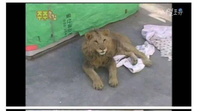 부산 낭만의 시절 레전드