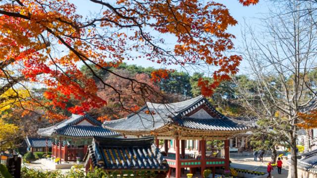 아이와 함께 즐기는 여주 명소 여행, 자연 속 체험과 배움의 시간