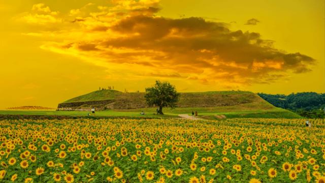강변의 유적과 고즈넉한 풍경, 가을 정취 가득한 경기 연천 여행