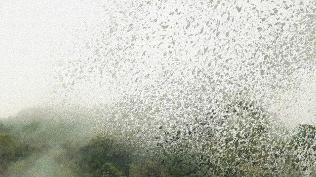 [N플러스] ‘종이 울리는 순간’, 사라진 숲이 기억을 부를 때