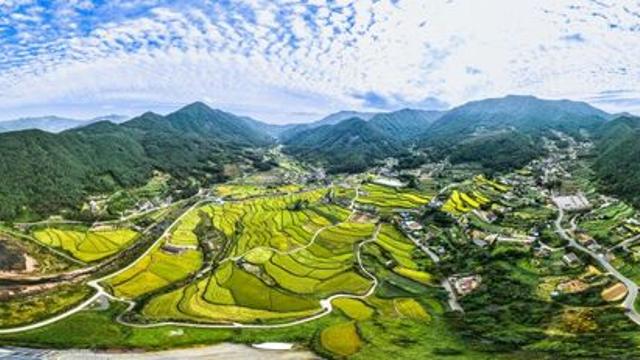 국민 44%, 지난해 농촌 관광…'휴식·치유·맛집' 즐겼다