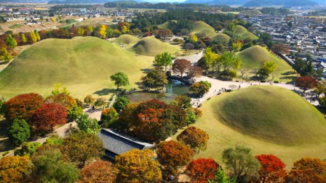 경주, 천년 왕국의 유산과 함께 걷는 가을 명소 탐방 여정