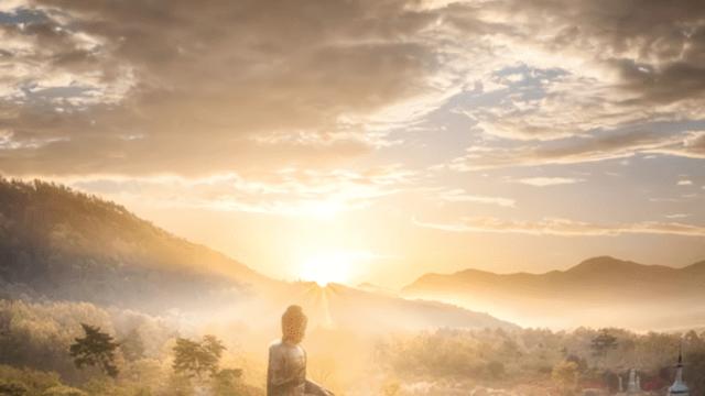 사찰과 생태공원을 품은 강진, 남도의 고요함 속에서 만나는 명소