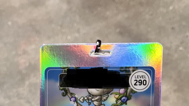 메이플콘 현장 후기