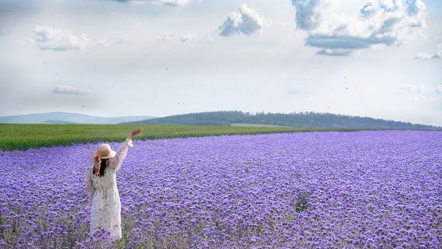 [여행소식] 체코관광청 