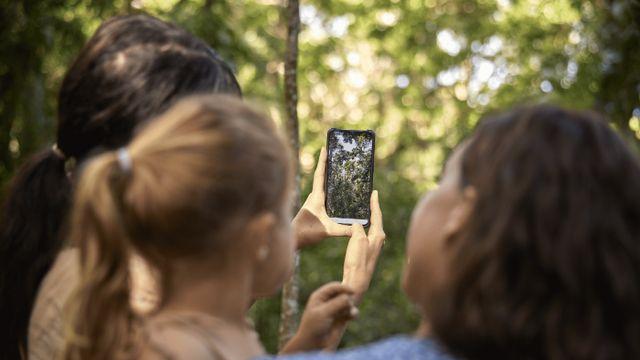 호주 케언즈 ‘스카이레일’, 한국어 오디오 가이드 도입… 6만년 원주민 문화 만난다 호주 케언즈 ‘스카이레일’, 한국어 오디오 가이드 도입… 6만년 원주민 문화 만난다