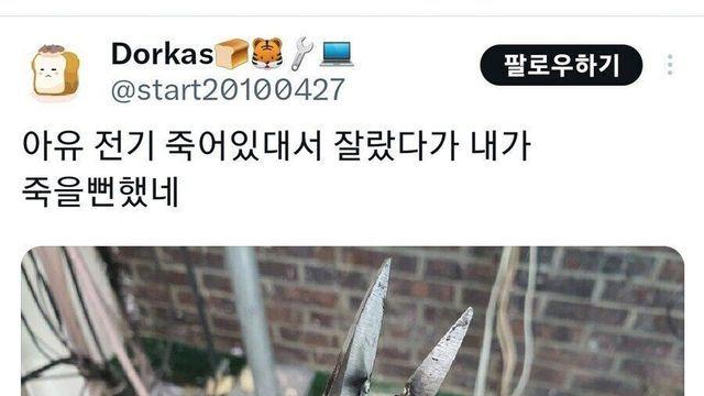 현장냥이 현실판 현장냥이 현실판