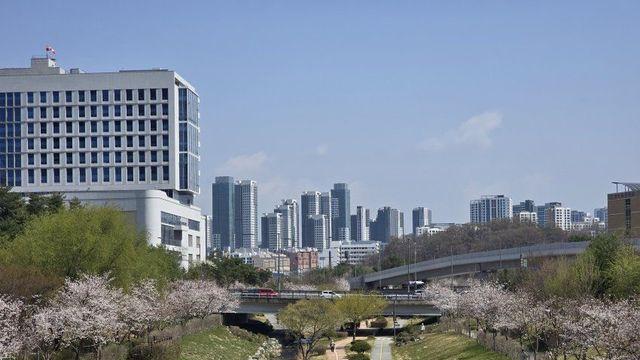 MBTI 내향형 도시