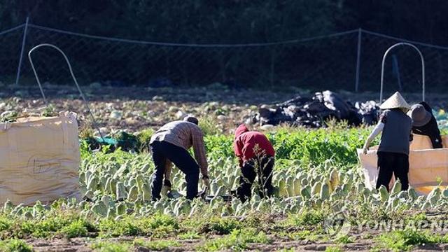 평창 봉평 -1.9도 영하권 '뚝'…낮과 밤 기온 차 15도 안팎