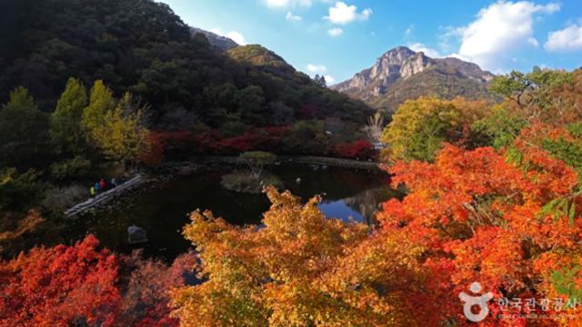 장성 명소 탐방, 자연 속에서 즐기는 평화로운 휴식과 미식의 조화