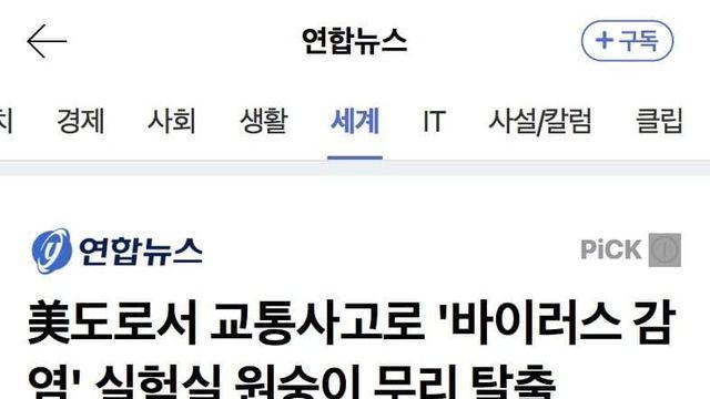 미국서 바이러스 감염 원숭이 무리 탈출 ㄷㄷㄷ