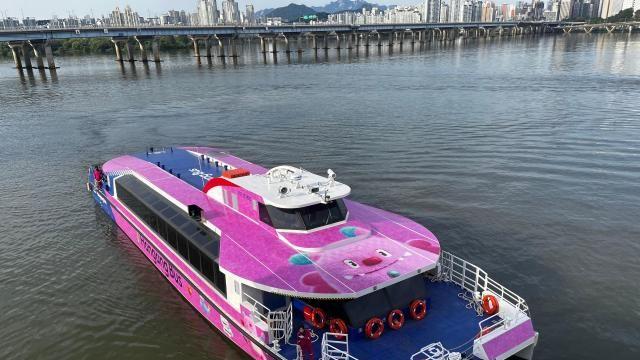 민주당, 왜 자꾸 '한강버스'  반대하나…좋은정책 선점당한 정치적 피해의식(?)