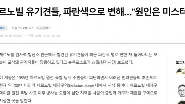 체르노빌 댕댕이들 체르노빌 댕댕이들