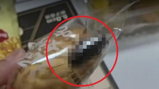 투명 빵 포장지 안 바퀴벌레 ‘꿈틀’…中서 최악 위생 논란