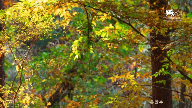 ‘어쩔수가없다’, 고담 어워즈 3개 부문 노미네이트 ‘어쩔수가없다’, 고담 어워즈 3개 부문 노미네이트