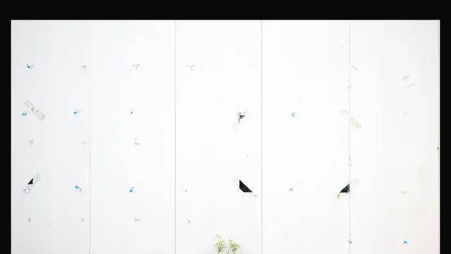 내 셔터가 멈추지 않는 탓일까? ㅜ.ㅜ (20장)