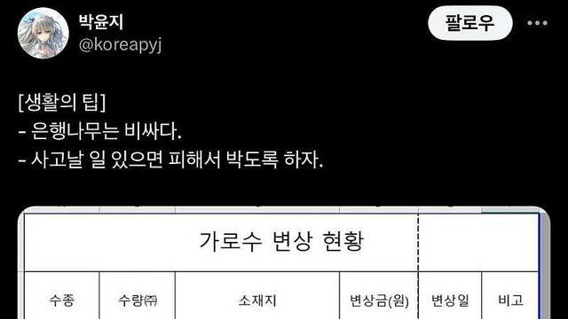 차로 나무를 박고나서 비로소 알게된 사실