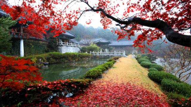 경남 명소 기행, 고즈넉한 사찰부터 빛의 터널까지 이어지는 특별한 여정