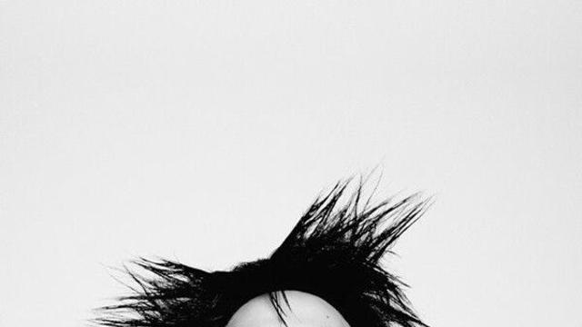 지드래곤, APEC 정상회의 환영만찬 공연 