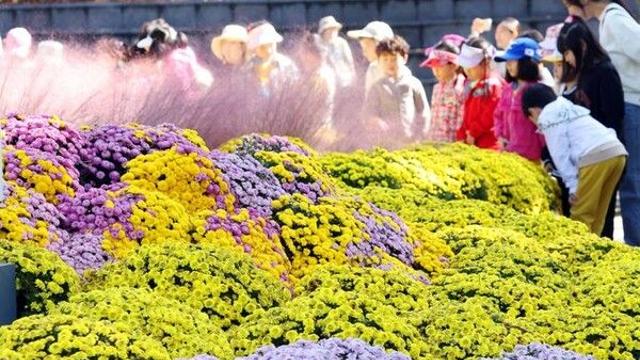 부산, 구름 많다가 오후부터 흐려져…낮 최고 21도