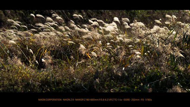 이 시간에 올리면 아무도 안본다며