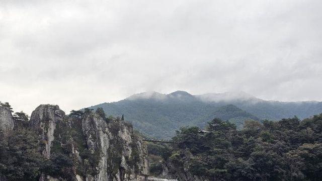 자린이의 무작정 국종 3-5일차 上