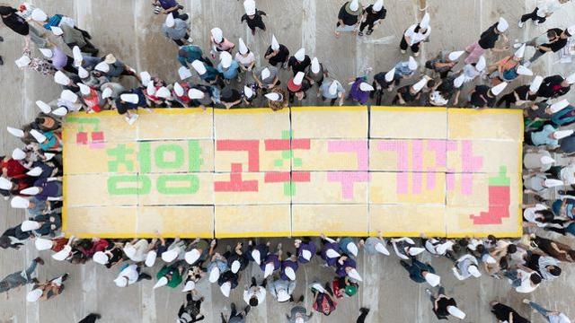 '빨간 맛 통했다' 청양 고추·구기자 축제 10만명 방문