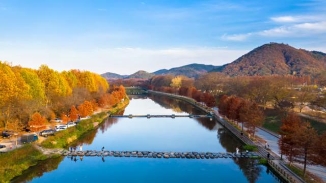 담양의 가을 정취, 대나무 숲과 전통 정원이 어우러진 힐링 여행