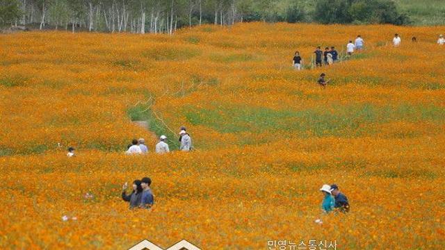 내일날씨, 서울 19도 기온올라 