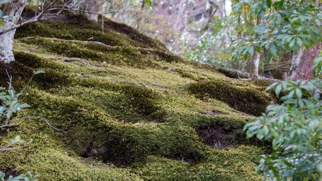 내 사진이 누군가에겐 좋은 사진이길