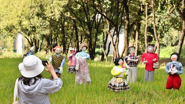 [날씨] 추위 물러가고 완연한 가을 회복…서울 한낮 19도