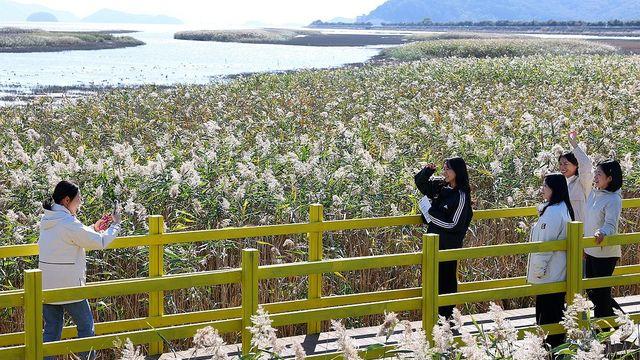 낮 최고 17∼21도 완연한 가을날…일교차 15도 안팎으로 커