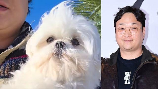 구성환, 1개월만 전한 근황…’견주’ 얼굴은 없고, 꽃분이만 “너무 멋있다” 구성환, 1개월만 전한 근황…’견주’ 얼굴은 없고, 꽃분이만 “너무 멋있다”