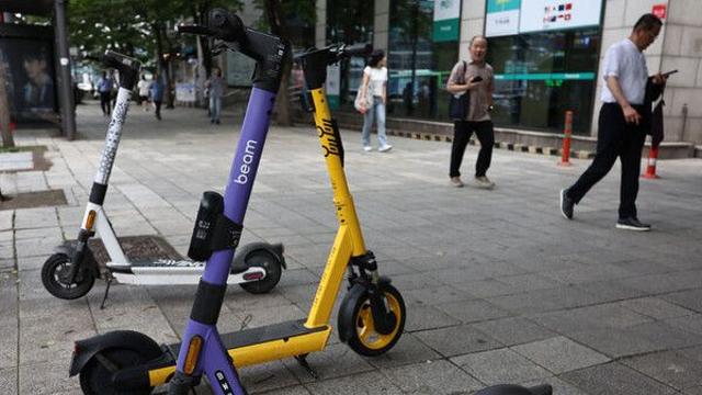 무면허 중학생이 몰던 킥보드에 반려견 치여…경찰 수사