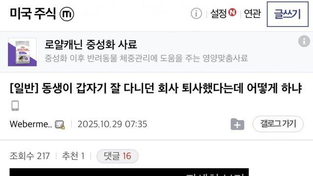 어느 디시인의 동생이 잘 다니던 대기업을 떼려친 이유..