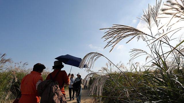 남은 10월은 안추워…목요일 서울 최저 7도·일교차 15도 안팎