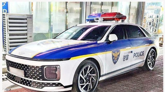 최근 경찰 순찰차 차종