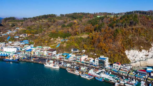 가을 바다의 정취, 영덕 해안길 따라 즐기는 여유로운 여행과 맛의 향연
